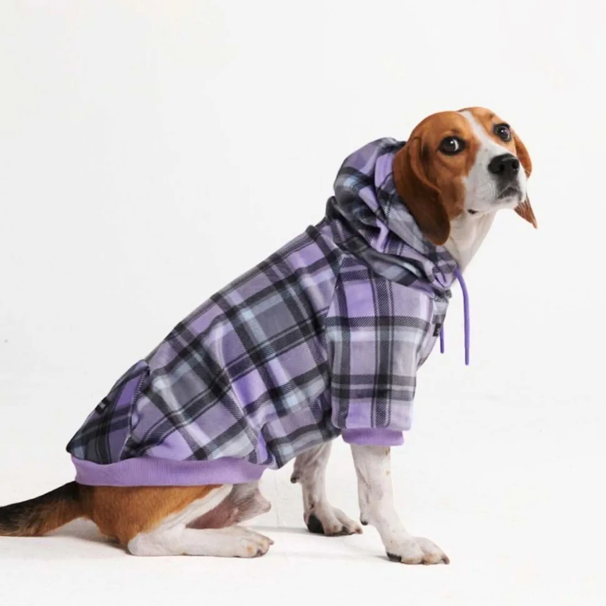 Purple Plaid Dog Hoodie