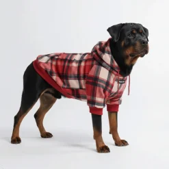 Red Plaid Dog Hoodie
