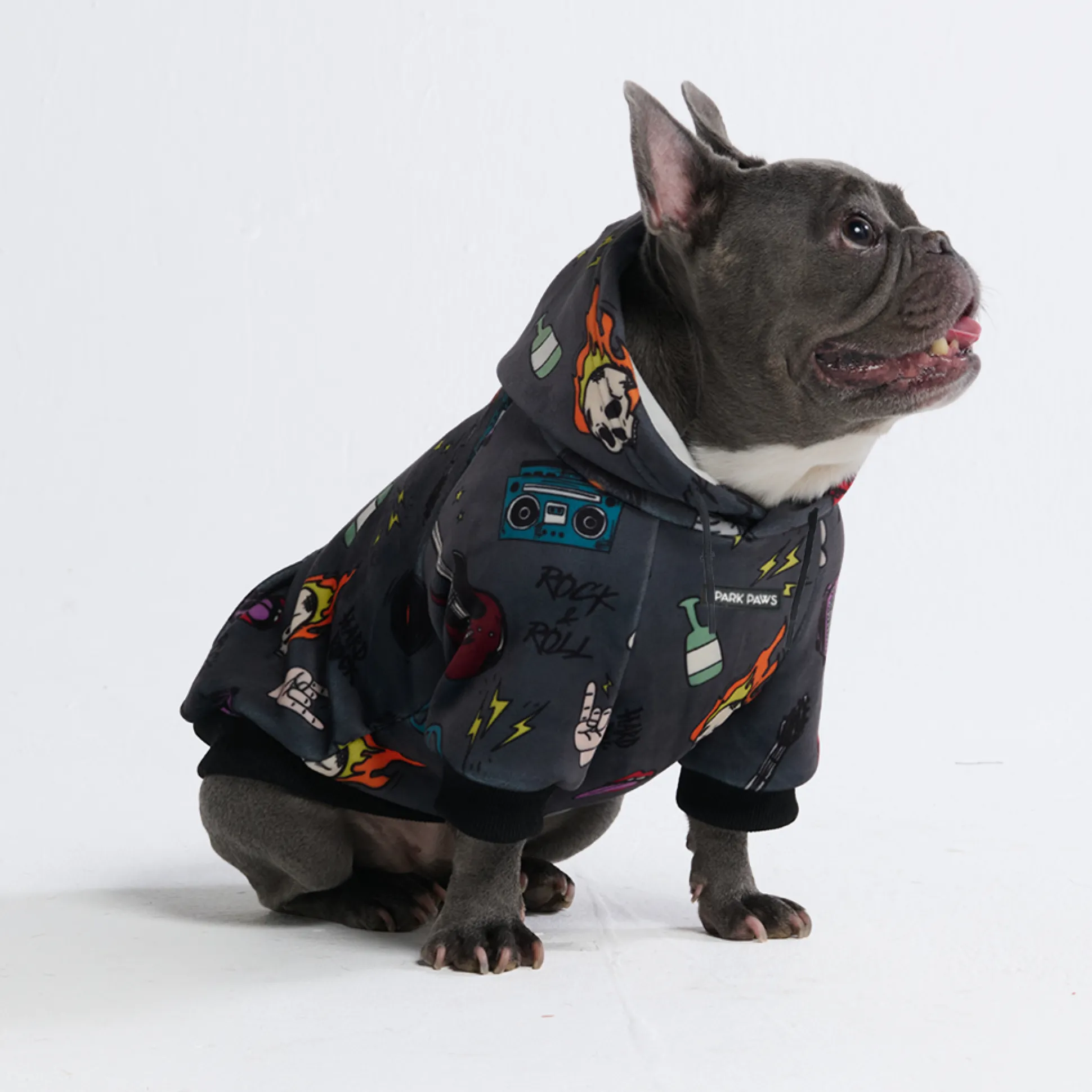 Rock and Roll Dog Hoodie