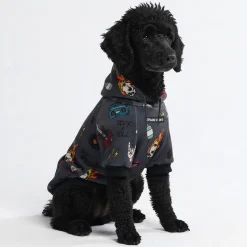 Rock and Roll Dog Hoodie