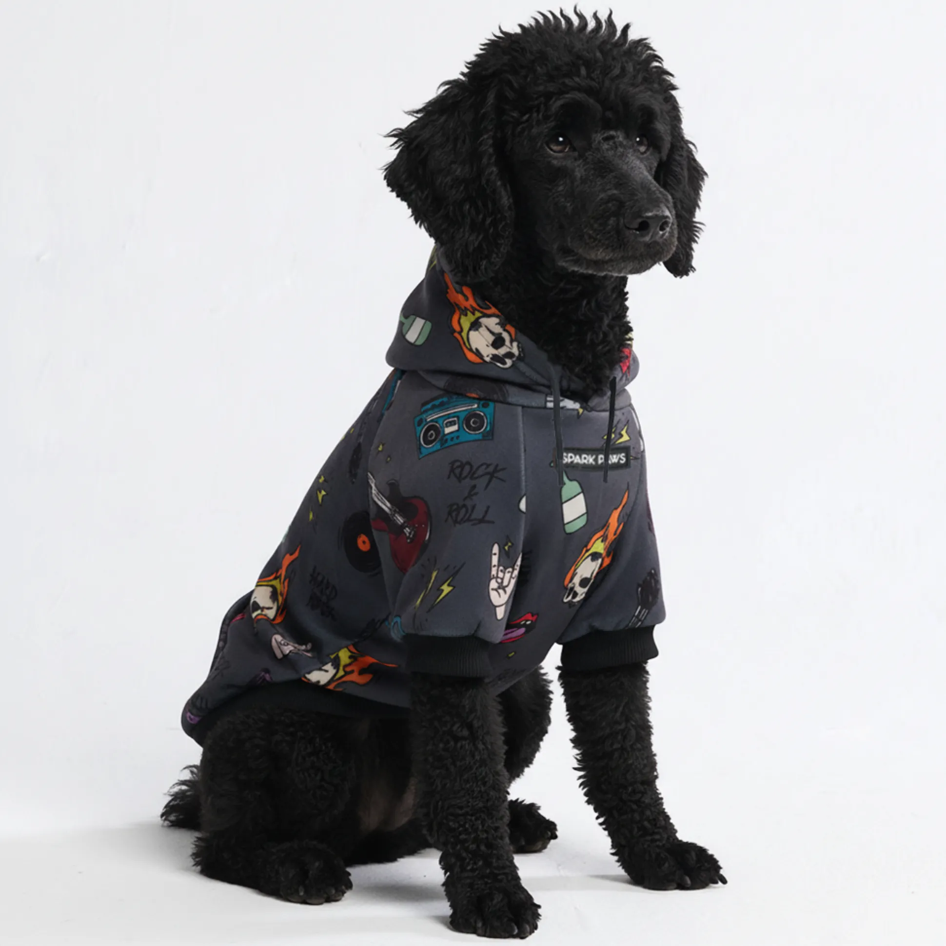 Rock and Roll Dog Hoodie