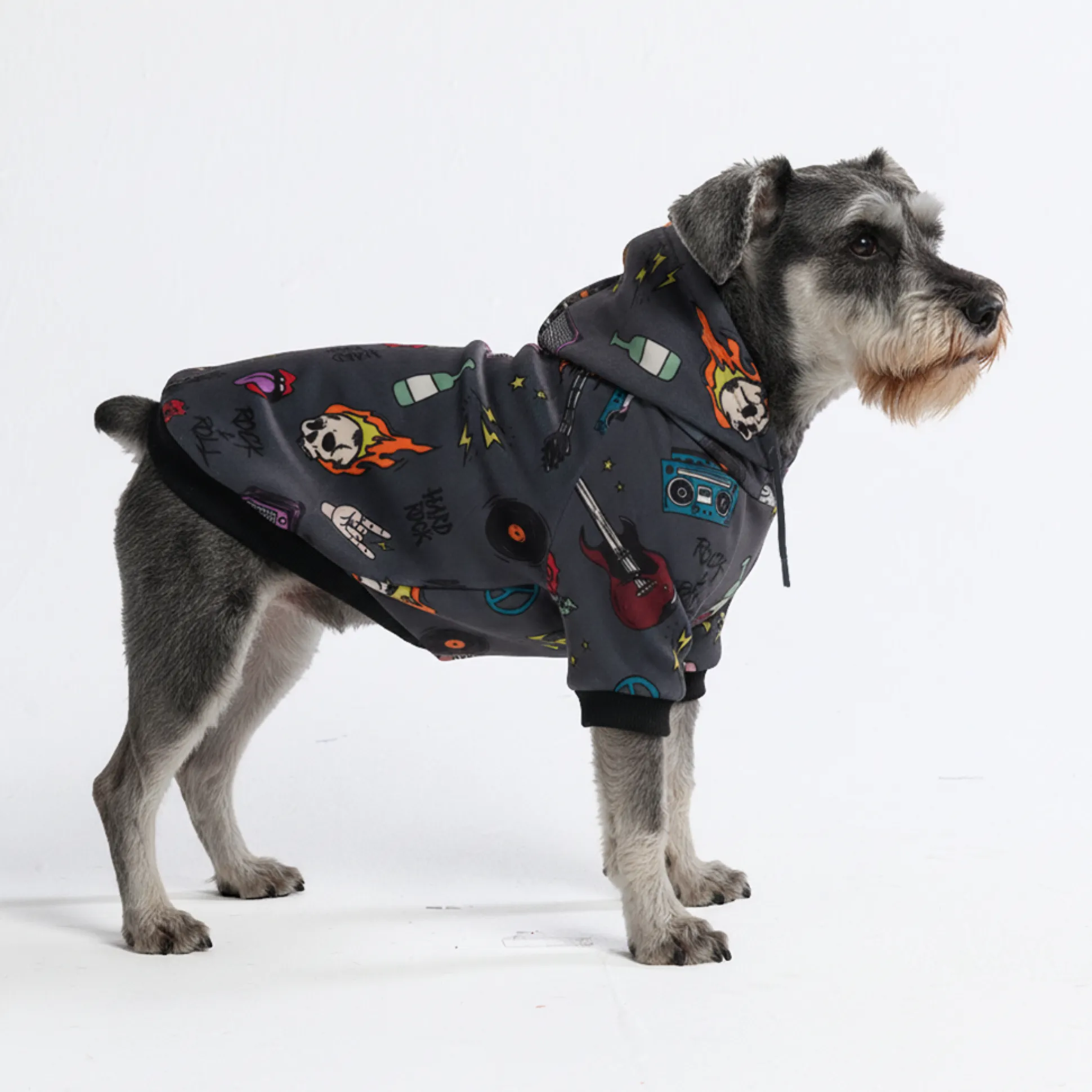 Rock and Roll Dog Hoodie