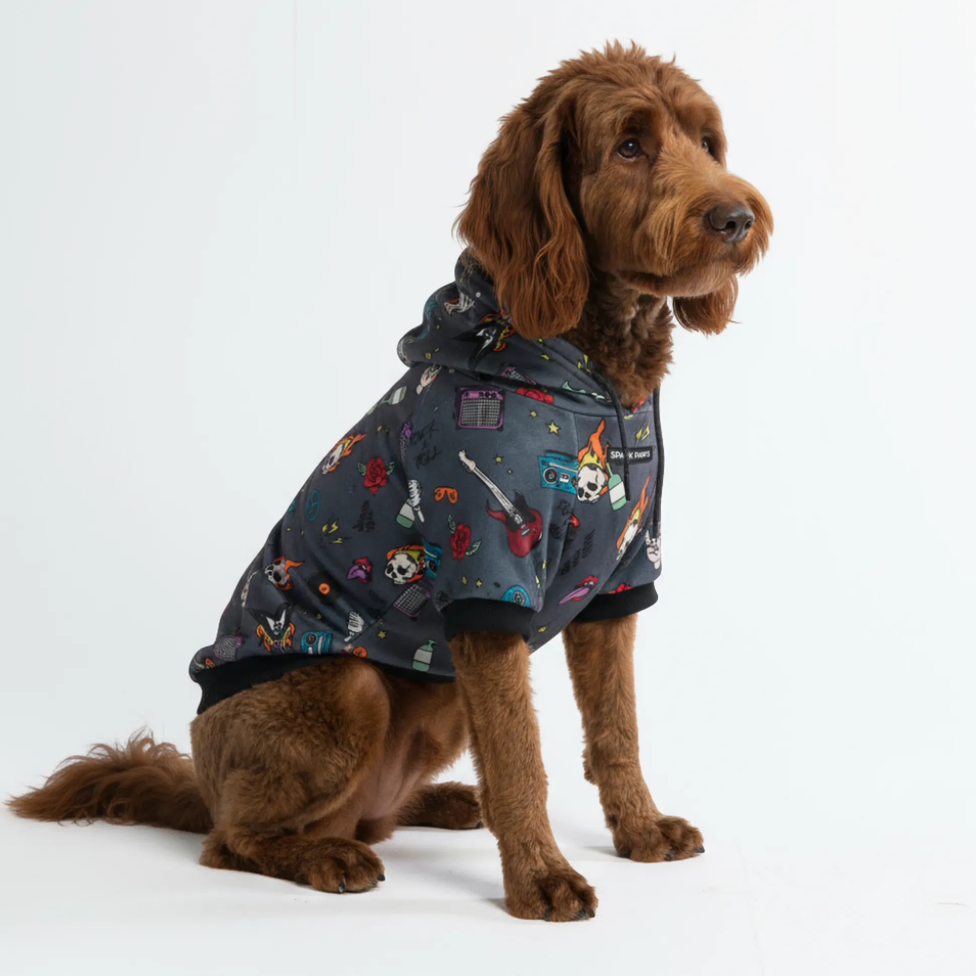 Rock and Roll Dog Hoodie