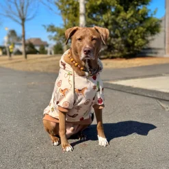 Rodeo Dog Hoodie
