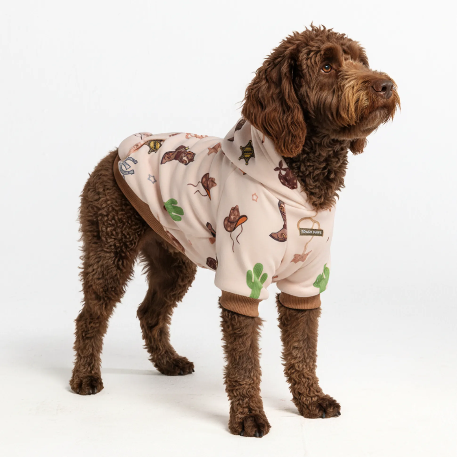 Rodeo Dog Hoodie