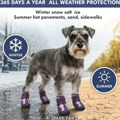 Spark Paws 365 - The All-Season Dog Shoes - Purple