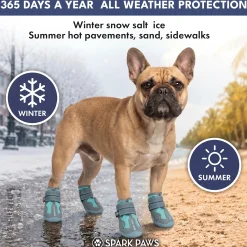 Spark Paws 365 - The All-Season Dog Shoes - Teal