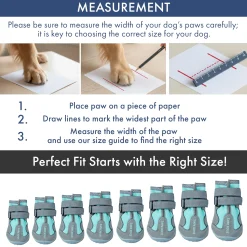 Spark Paws 365 - The All-Season Dog Shoes - Teal