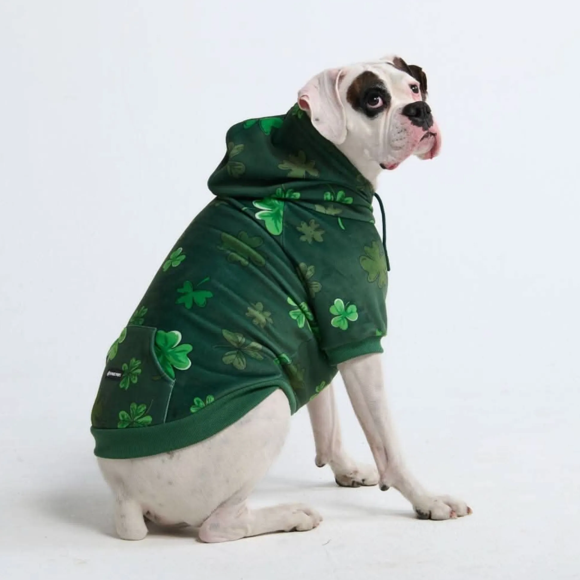 St. Paddy's Dog Hoodie - Dark Green (Limited Edition)