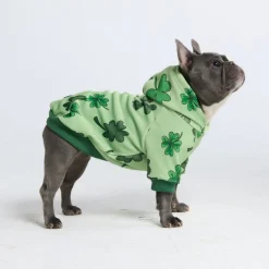 St. Paddy's Dog Hoodie - Light Green (Limited Edition)