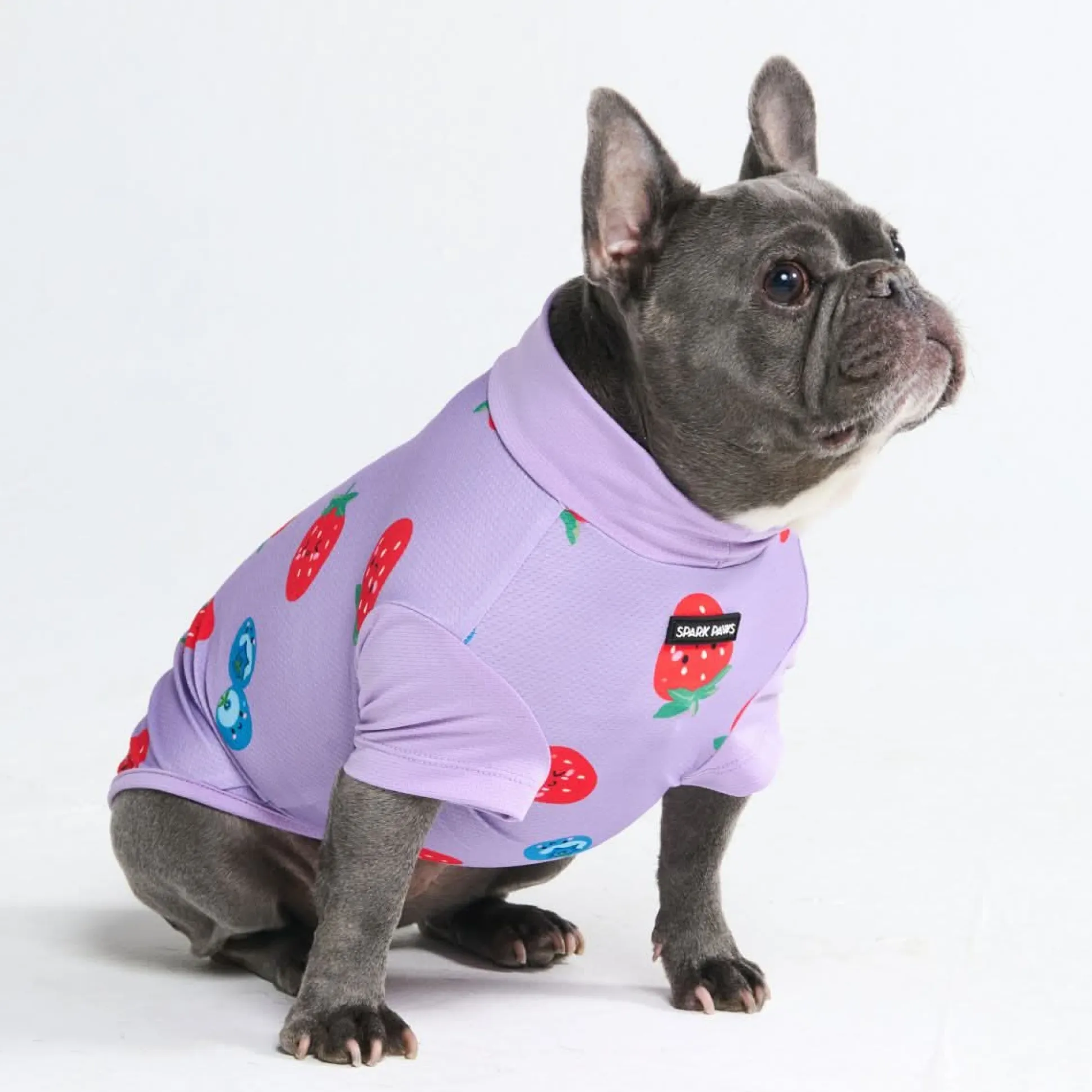Sunblock Dog T-Shirt - Berries