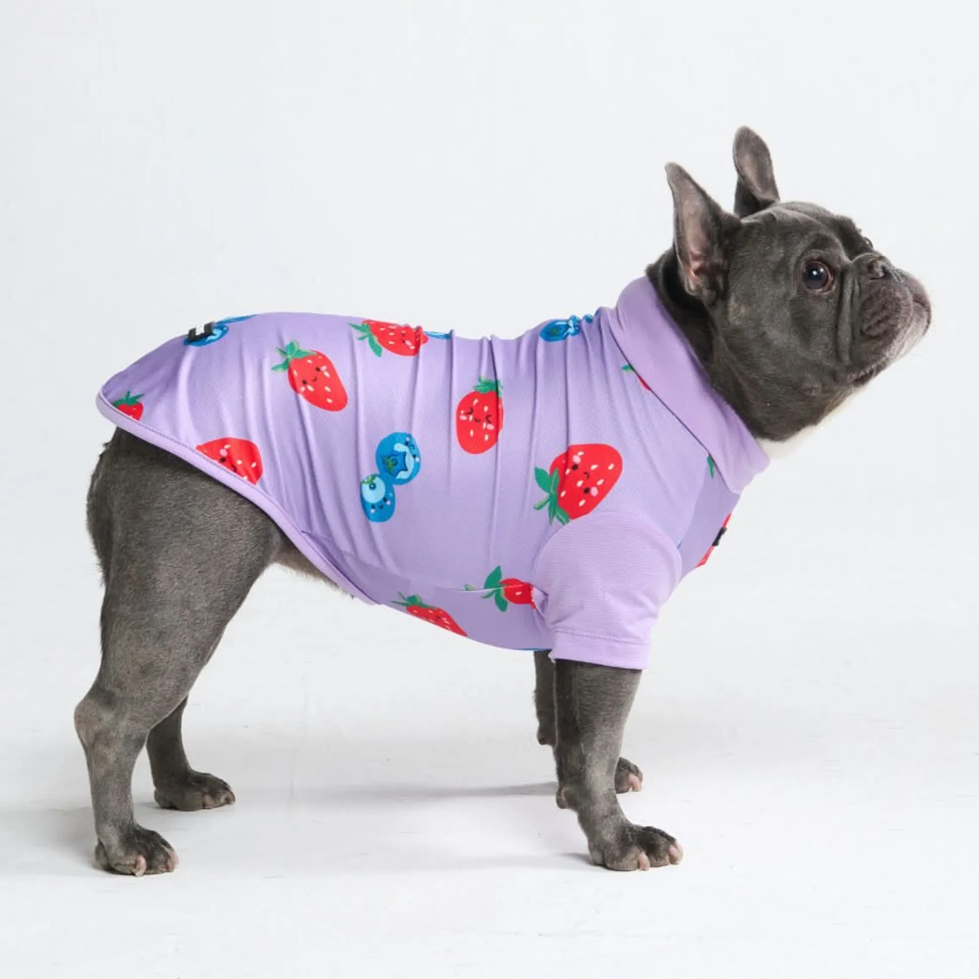 Sunblock Dog T-Shirt - Berries