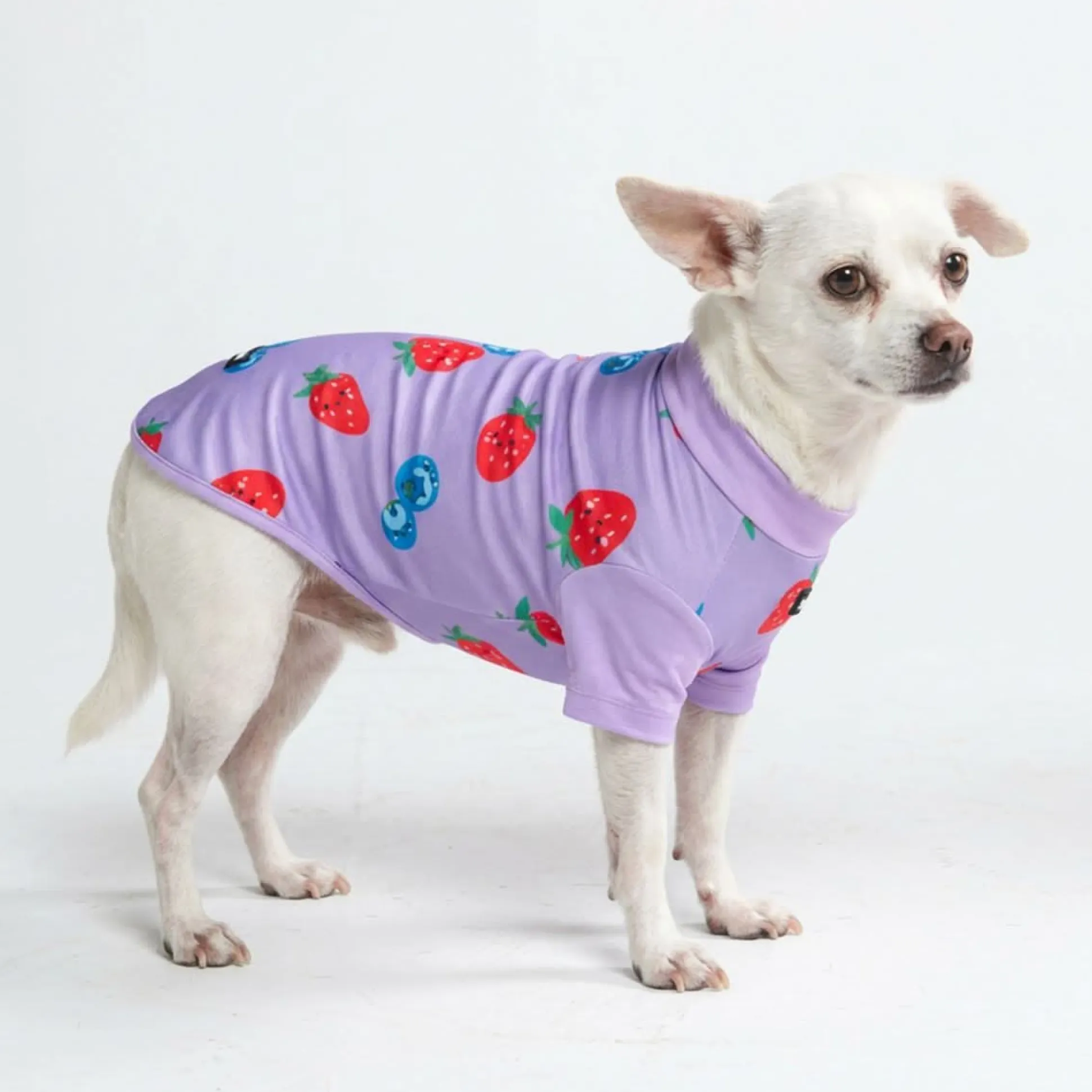 Sunblock Dog T-Shirt - Berries