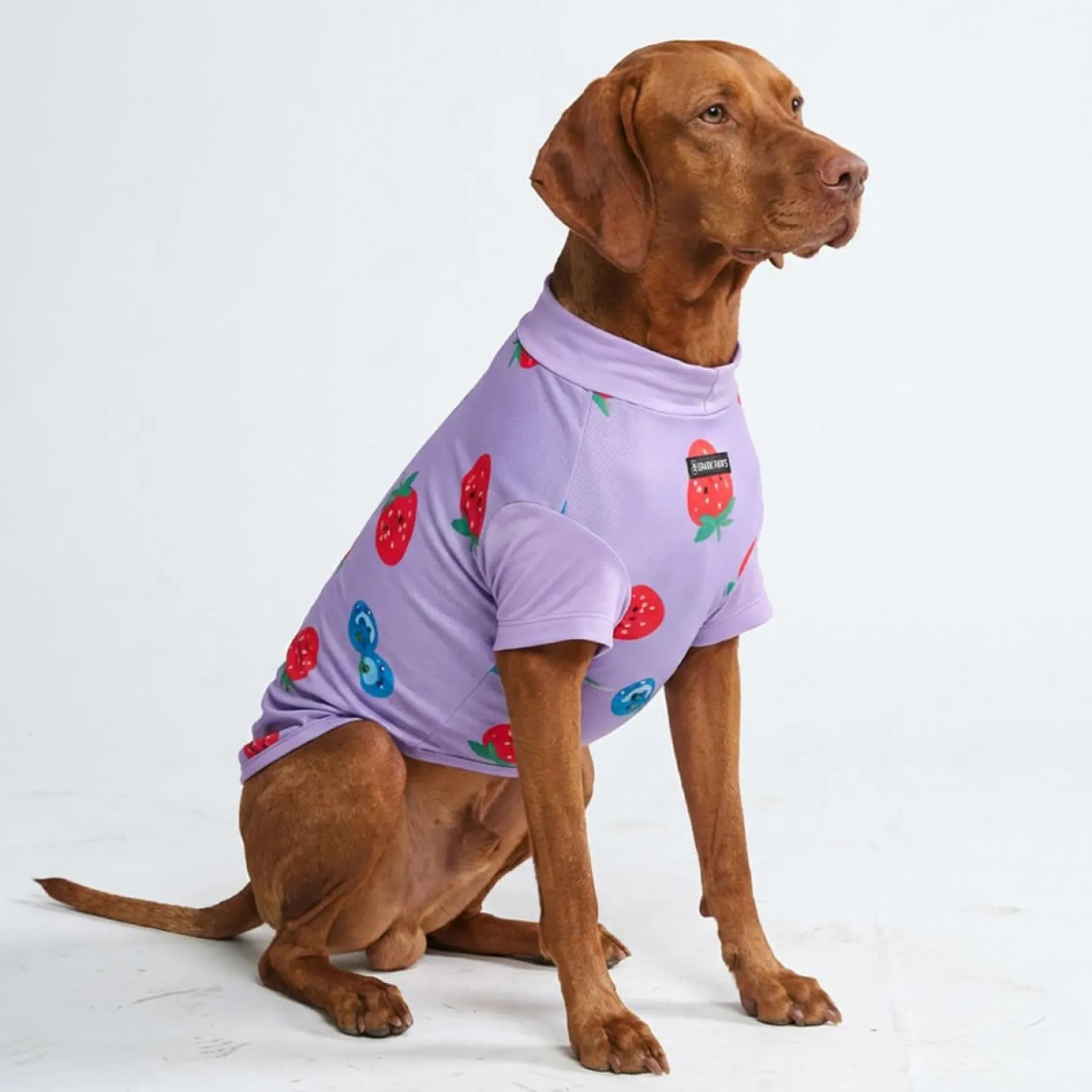 Sunblock Dog T-Shirt - Berries