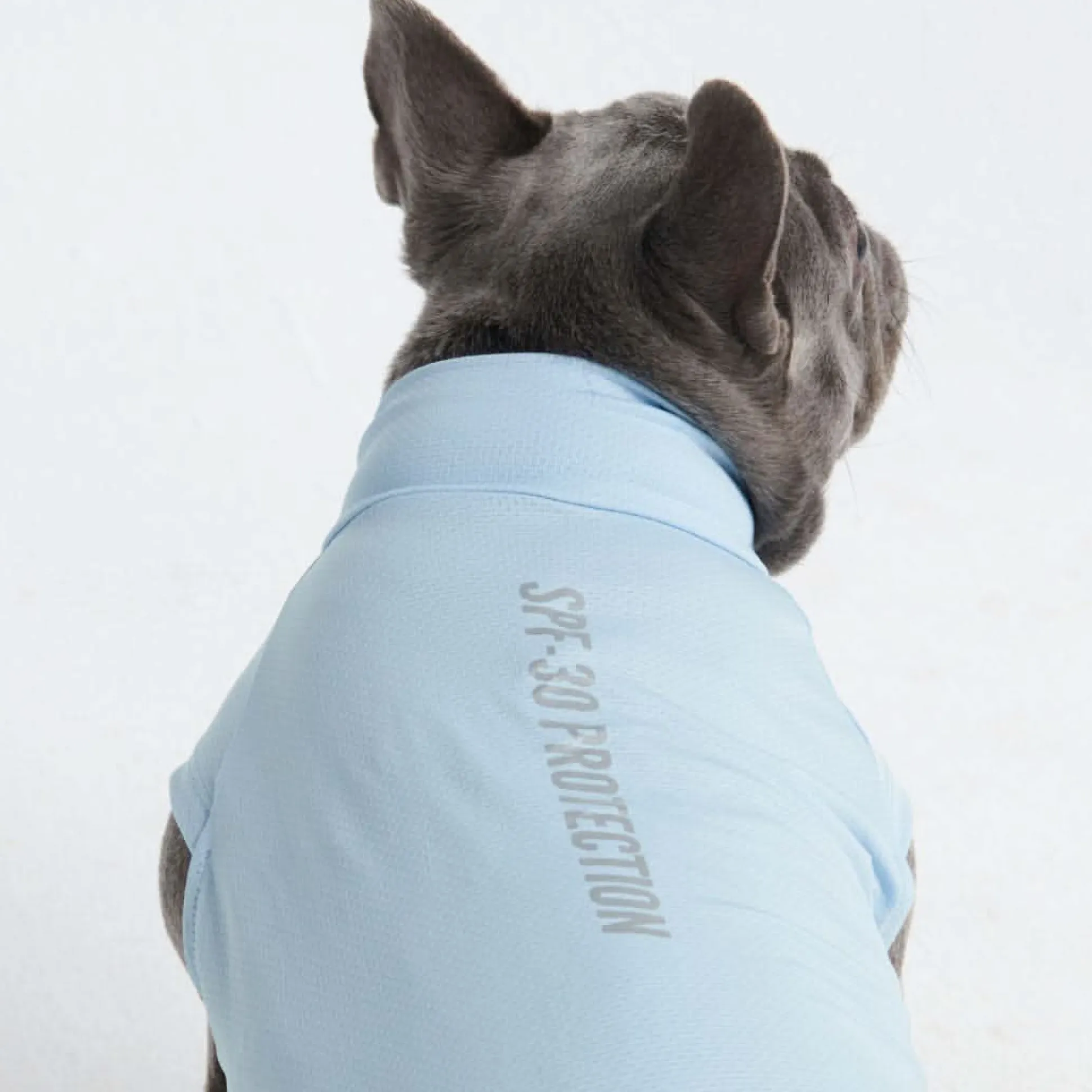 Sunblock Dog T-Shirt - Blue