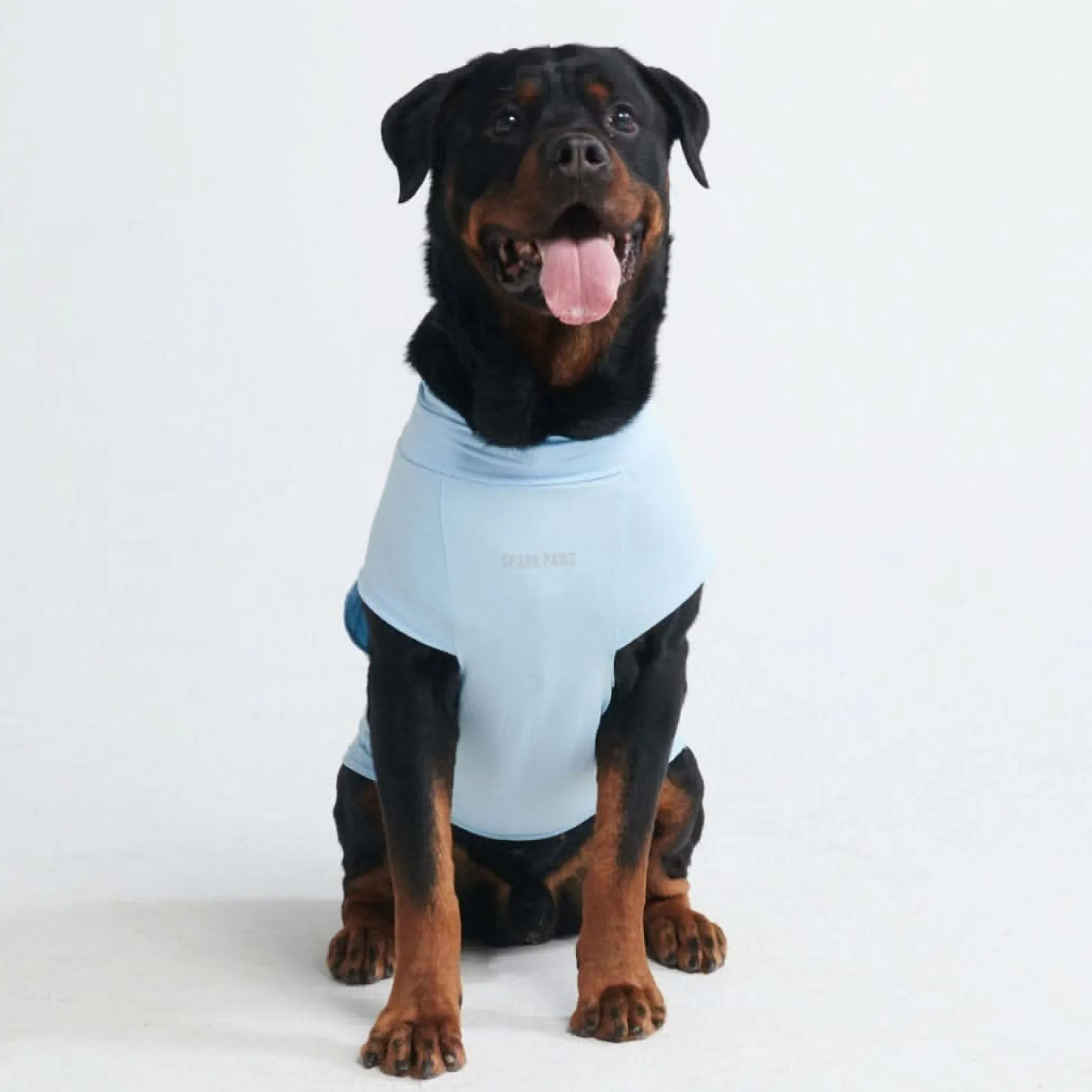 Sunblock Dog T-Shirt - Blue