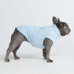 Sunblock Dog T-Shirt - Blue