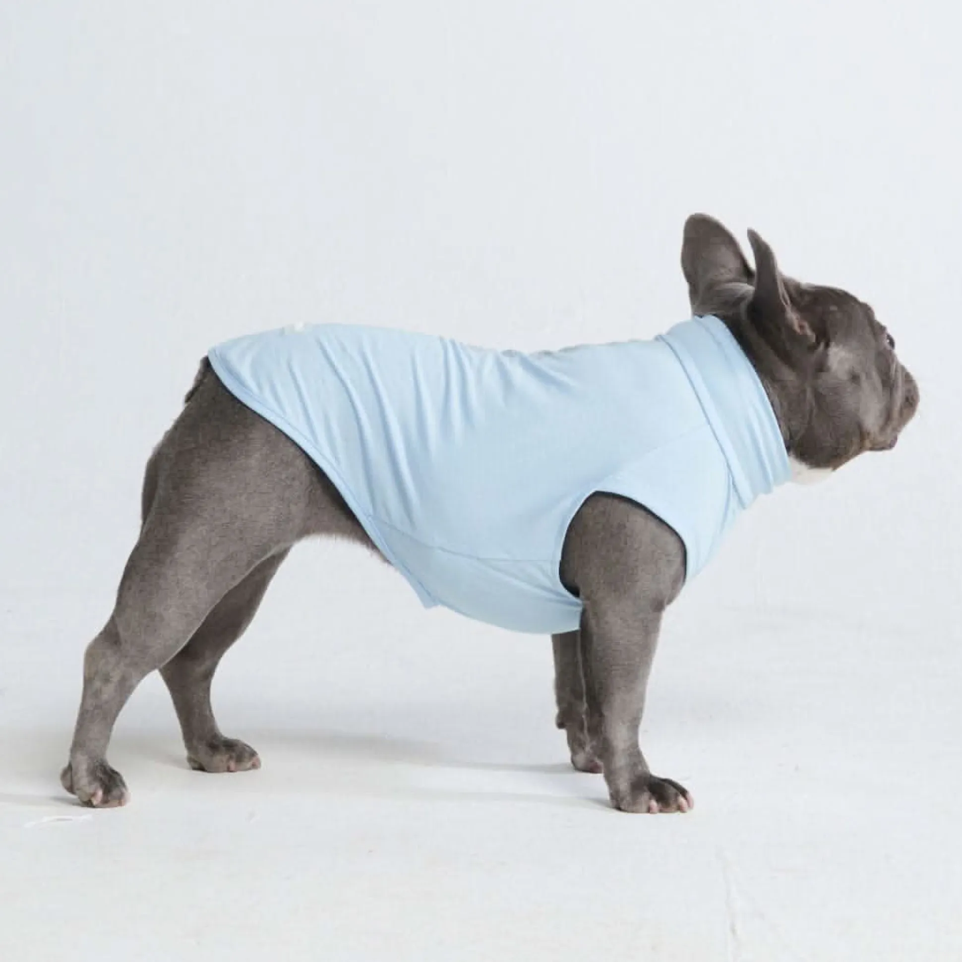 Sunblock Dog T-Shirt - Blue