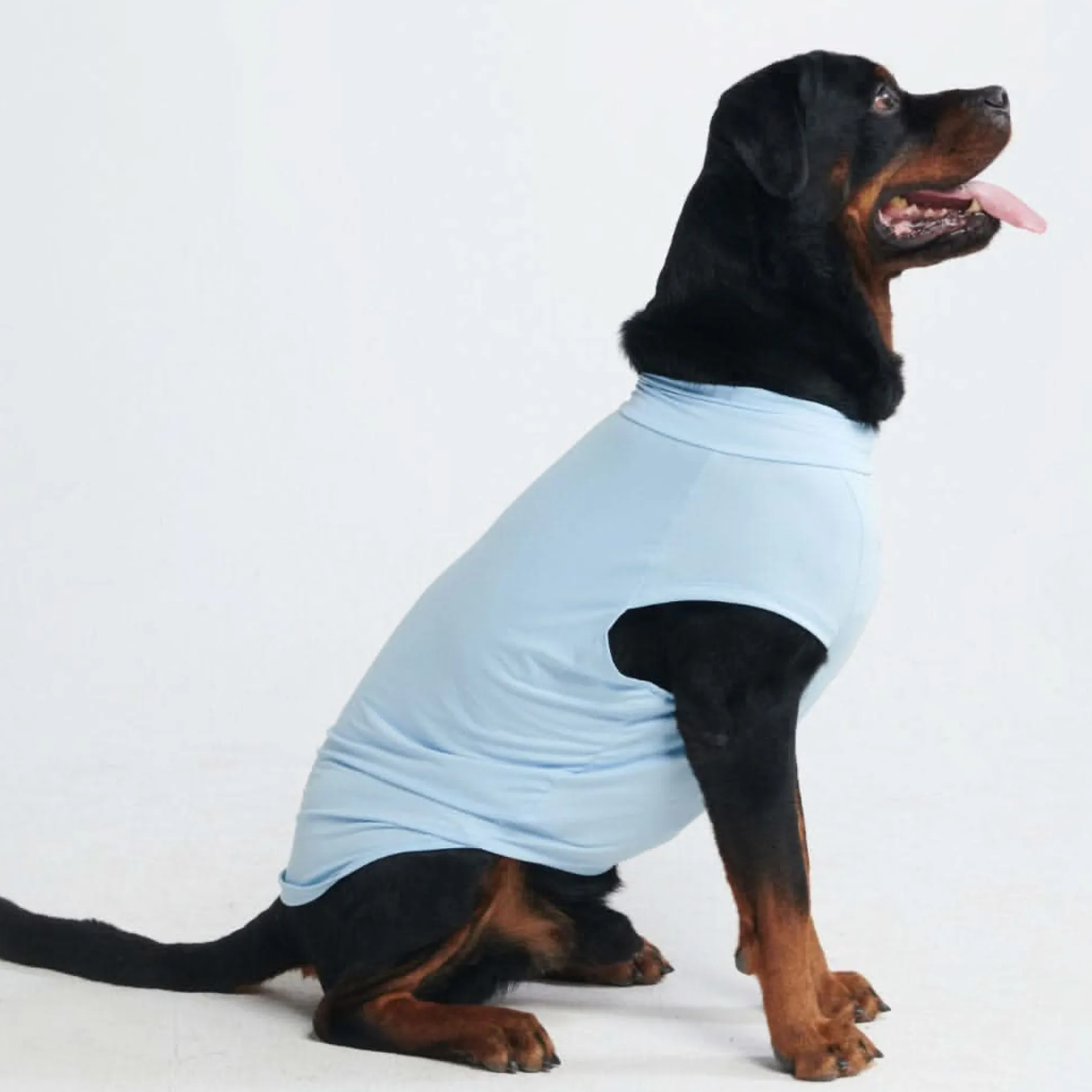 Sunblock Dog T-Shirt - Blue