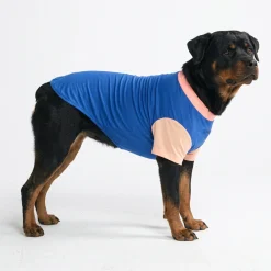 Sunblock Dog T-Shirt - Blue Hawaiian