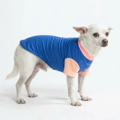 Sunblock Dog T-Shirt - Blue Hawaiian