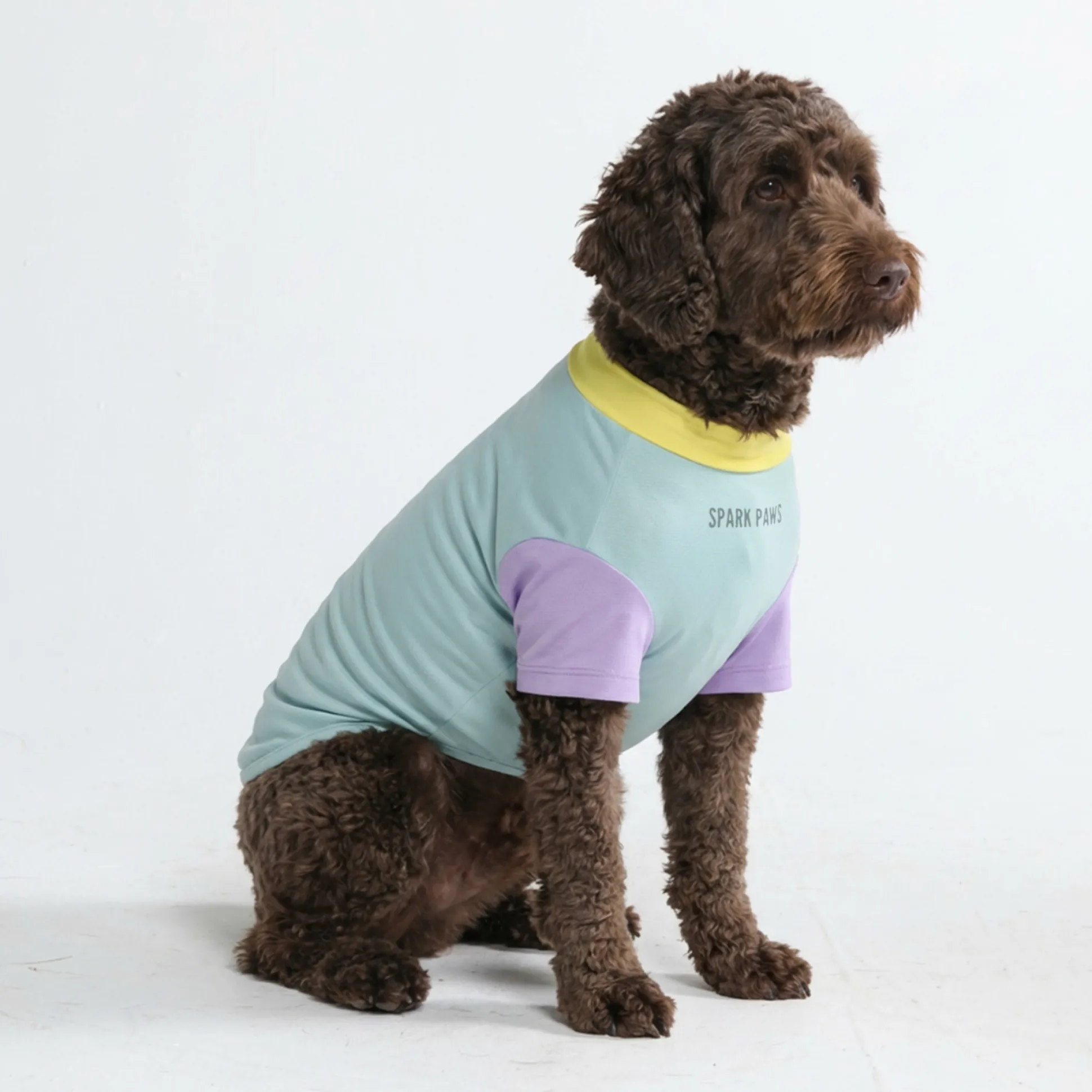 Sunblock Dog T-Shirt - Breeze