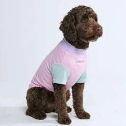 Sunblock Dog T-Shirt - Color Block