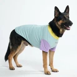 Sunblock Dog T-Shirt - Color Block