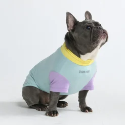 Sunblock Dog T-Shirt - Color Block