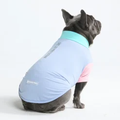 Sunblock Dog T-Shirt - Color Block