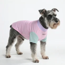 Sunblock Dog T-Shirt - Color Block