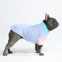 Sunblock Dog T-Shirt - Color Block