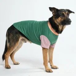 Sunblock Dog T-Shirt - Color Block