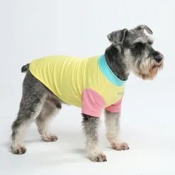 Sunblock Dog T-Shirt - Color Block