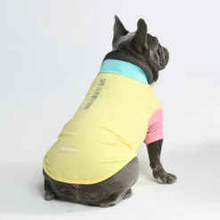 Sunblock Dog T-Shirt - Color Block