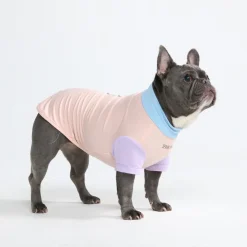 Sunblock Dog T-Shirt - Color Block