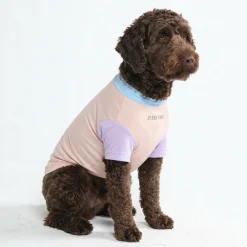 Sunblock Dog T-Shirt - Cotton Candy