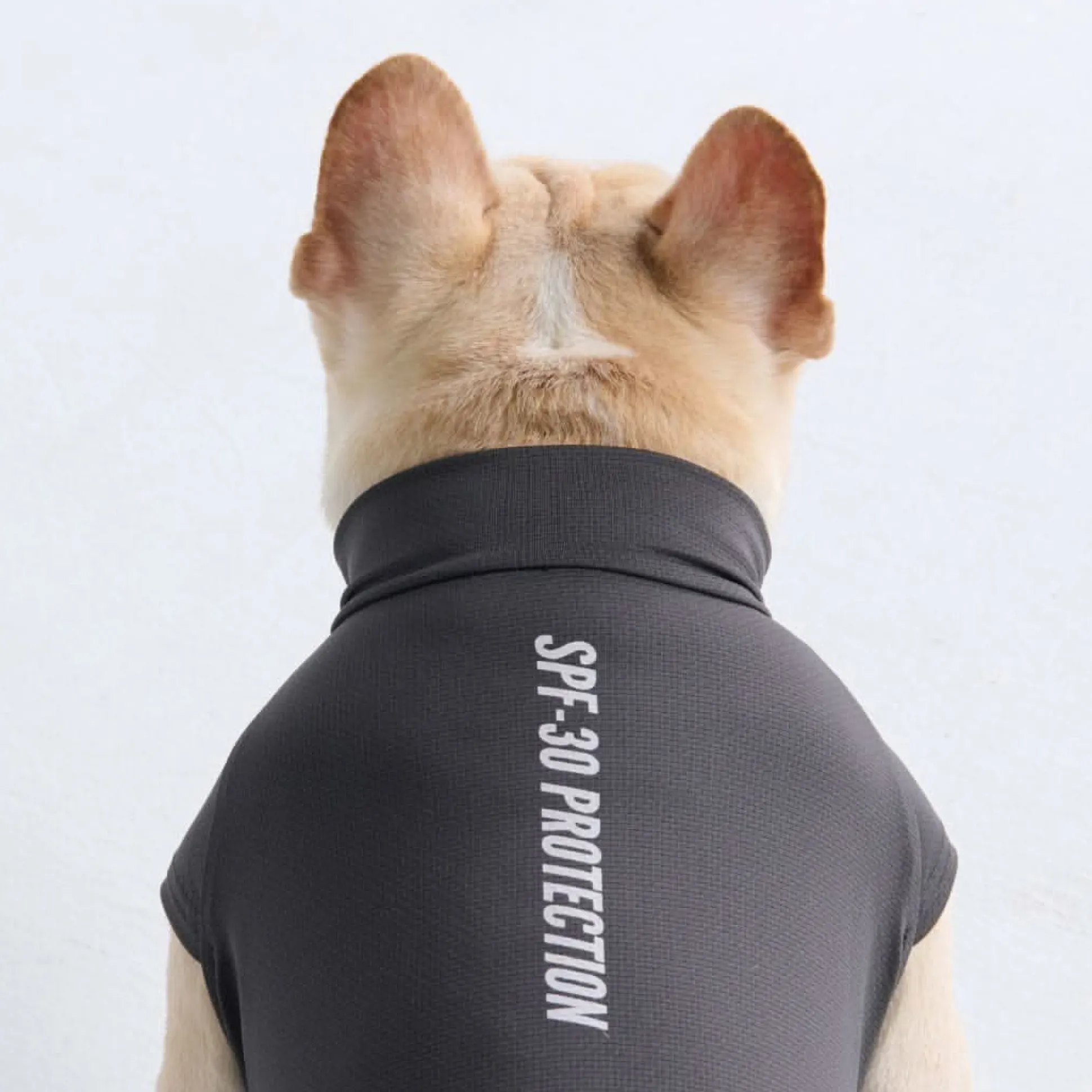 Sunblock Dog T-Shirt - Dark Grey