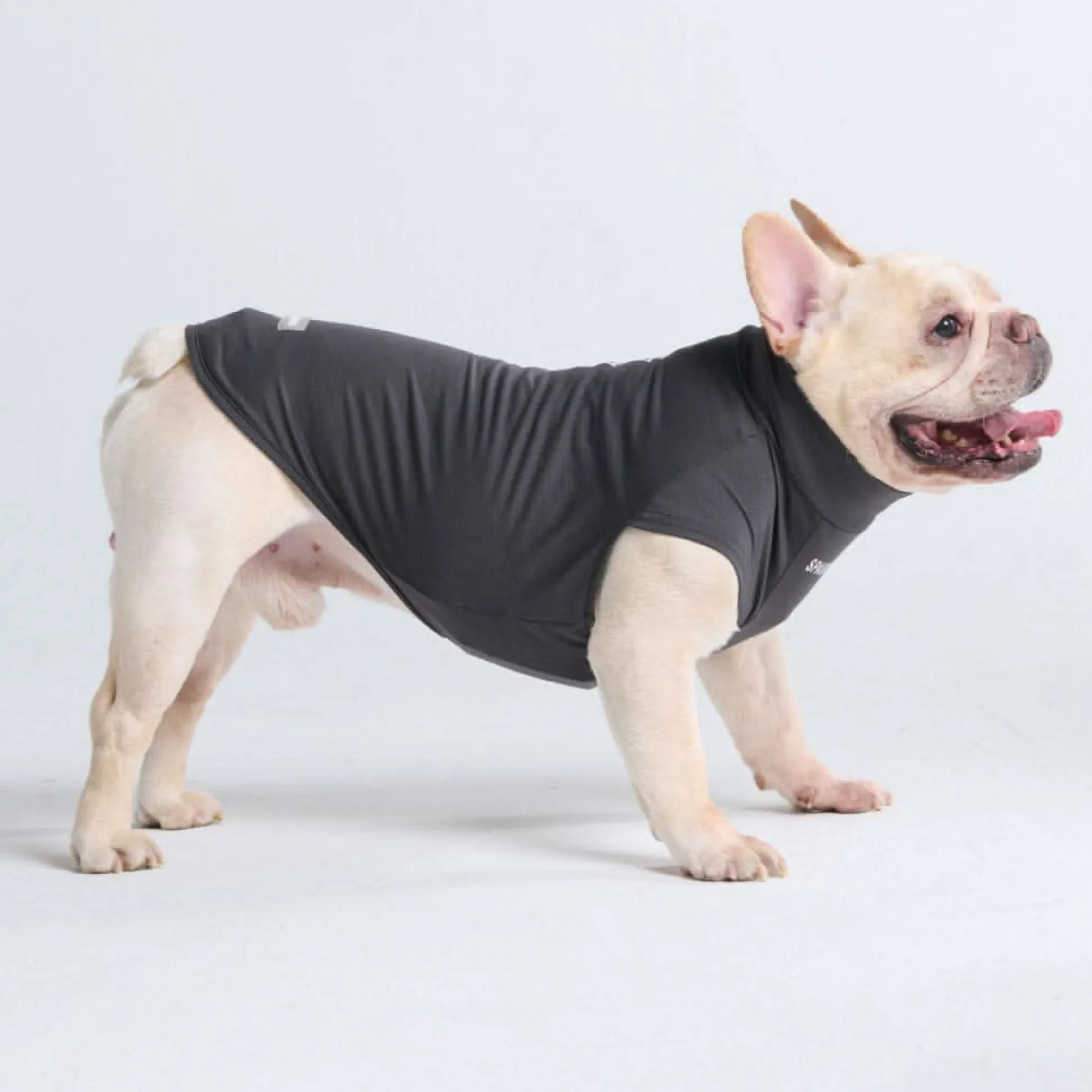 Sunblock Dog T-Shirt - Dark Grey