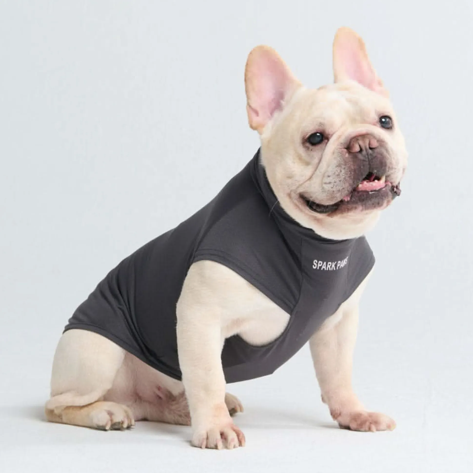 Sunblock Dog T-Shirt - Dark Grey