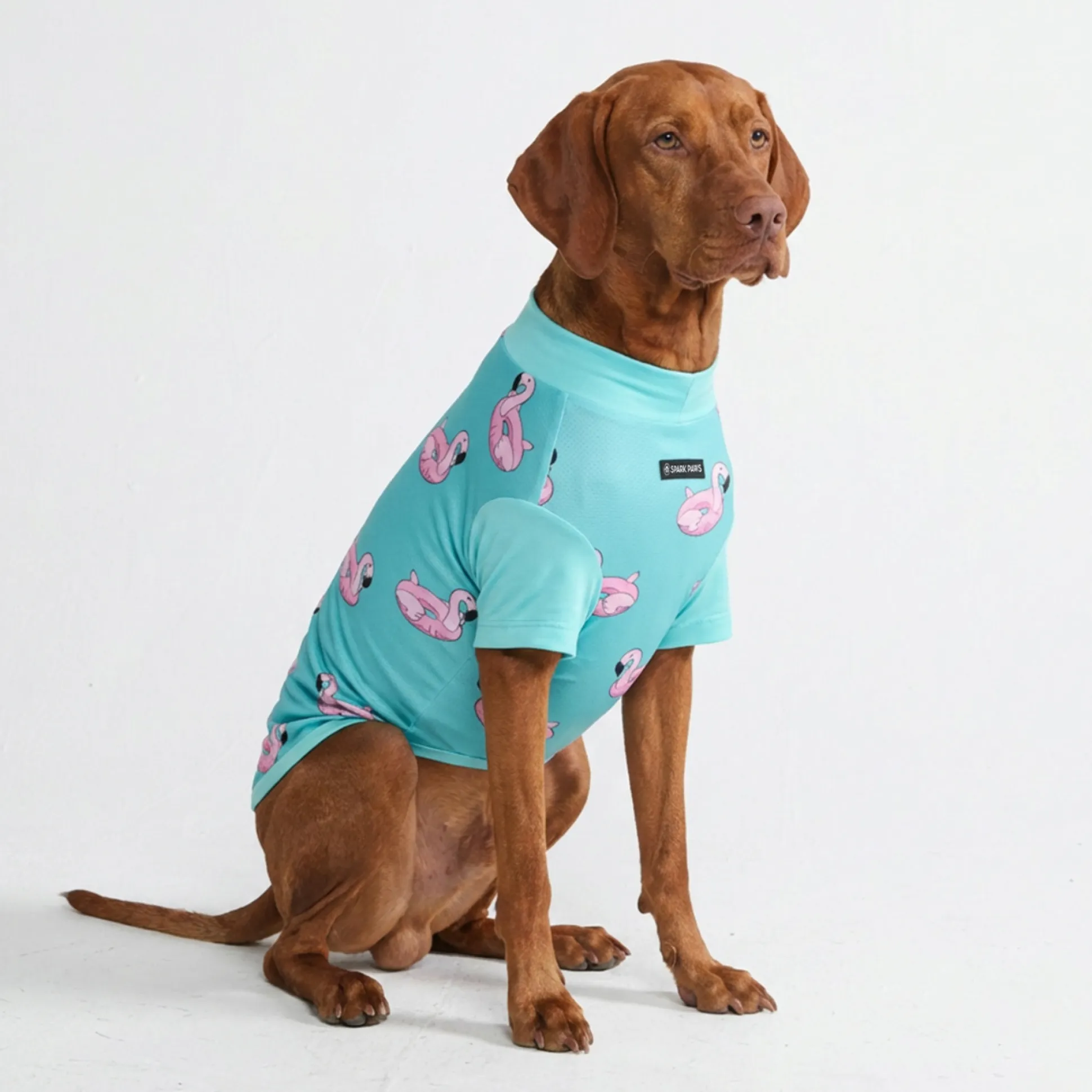 Sunblock Dog T-Shirt - Flamingo