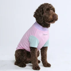 Sunblock Dog T-Shirt - Gelato