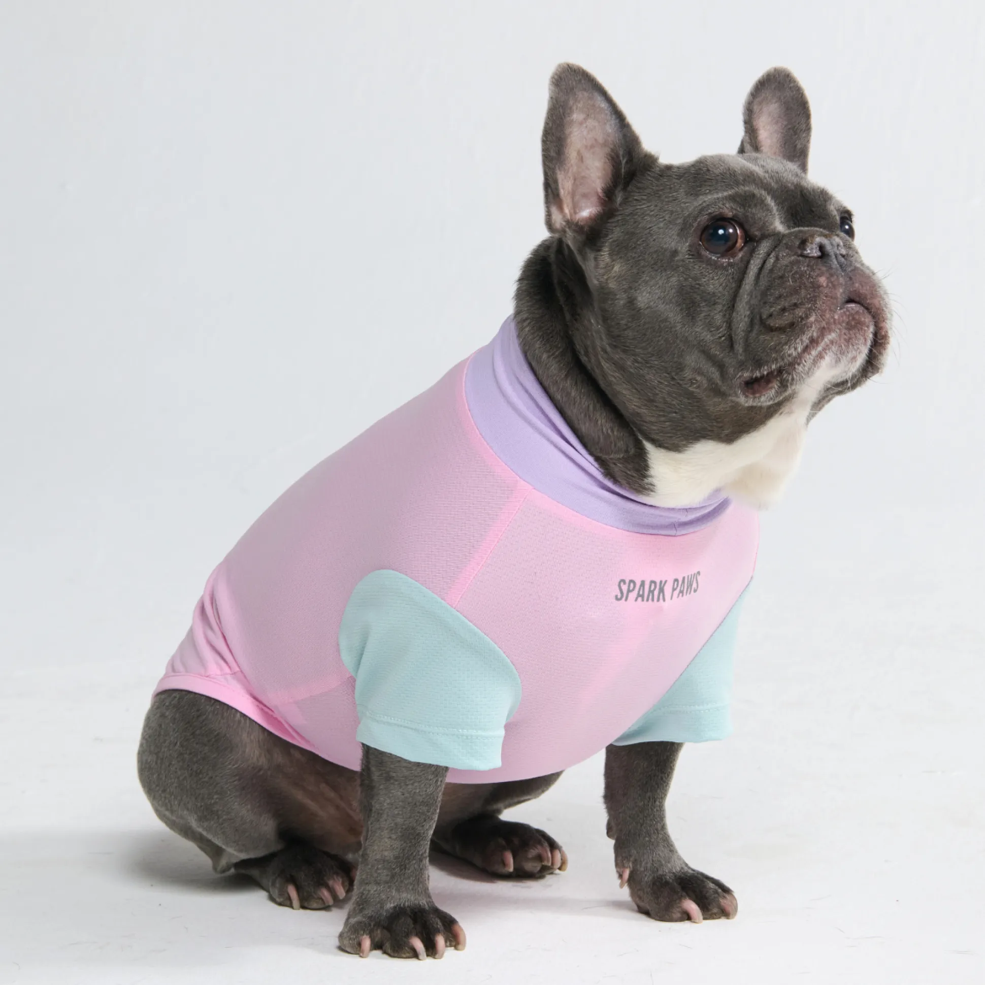 Sunblock Dog T-Shirt - Gelato
