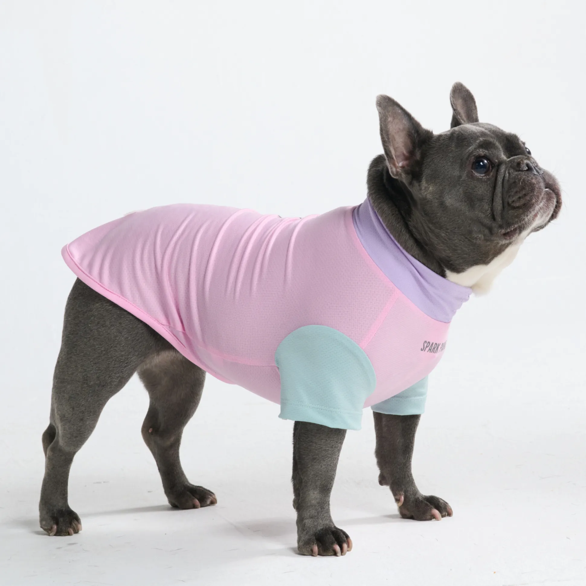 Sunblock Dog T-Shirt - Gelato