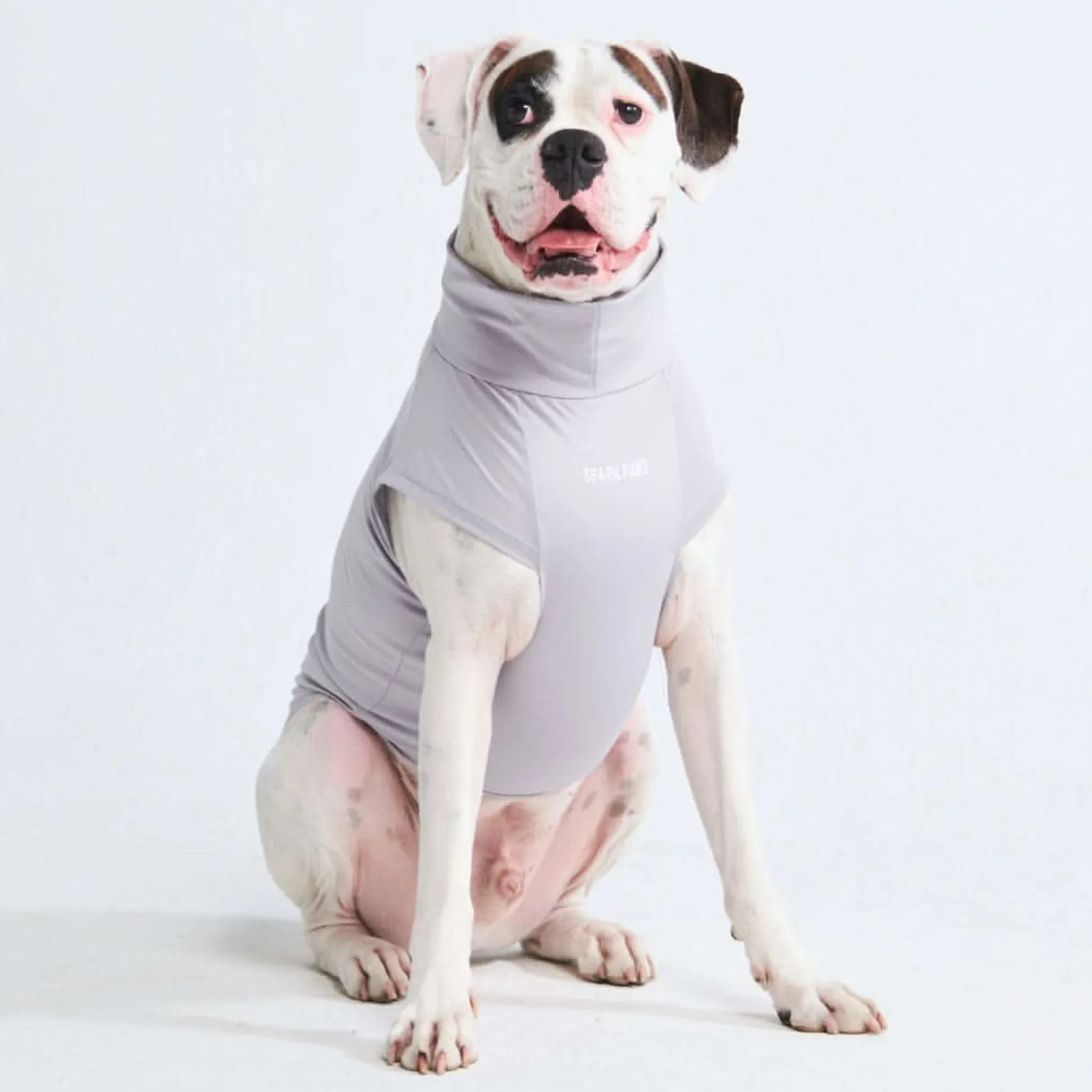 Sunblock Dog T-Shirt - Grey