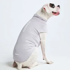 Sunblock Dog T-Shirt - Grey