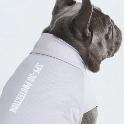 Sunblock Dog T-Shirt - Grey