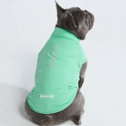 Sunblock Dog T-Shirt - Mint