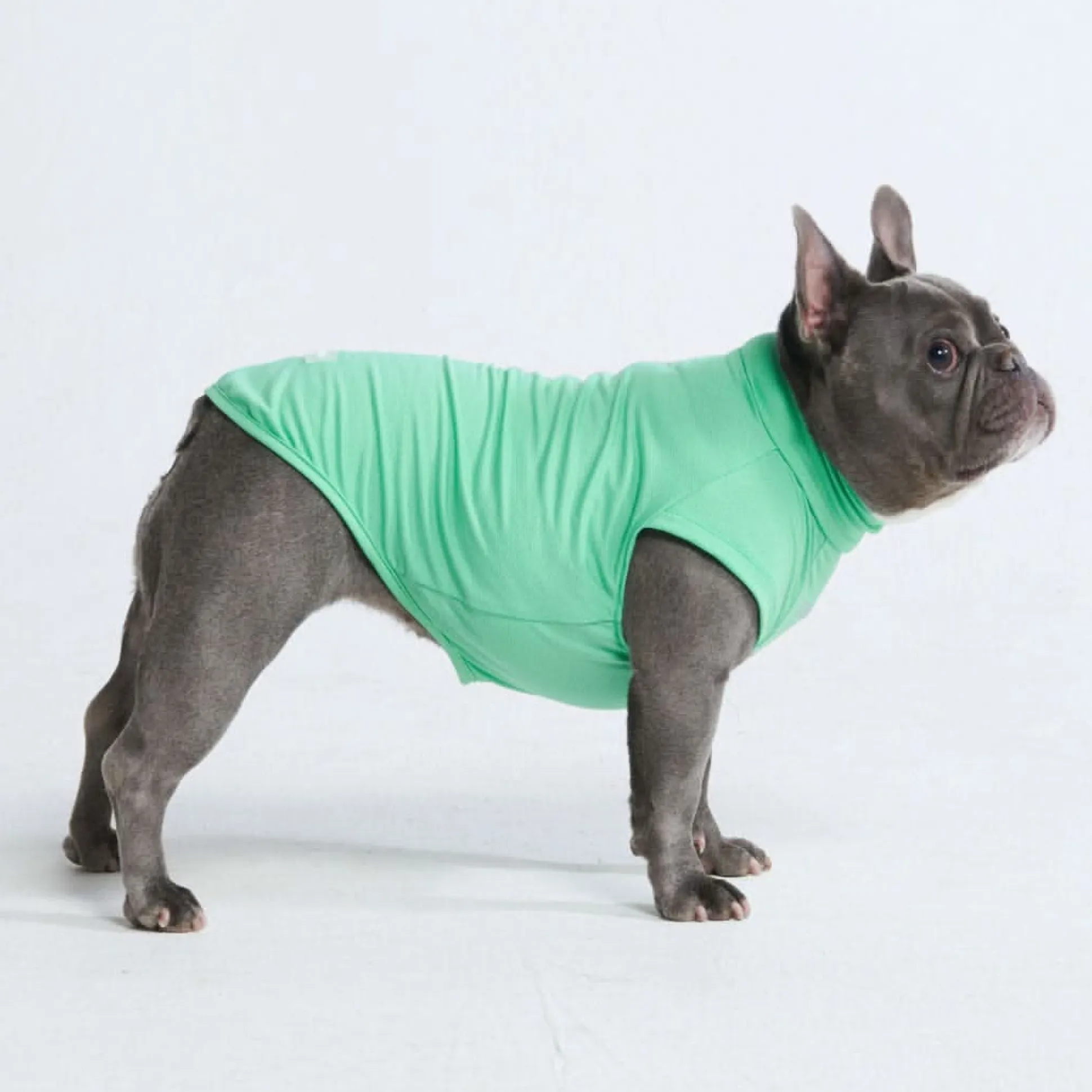 Sunblock Dog T-Shirt - Mint