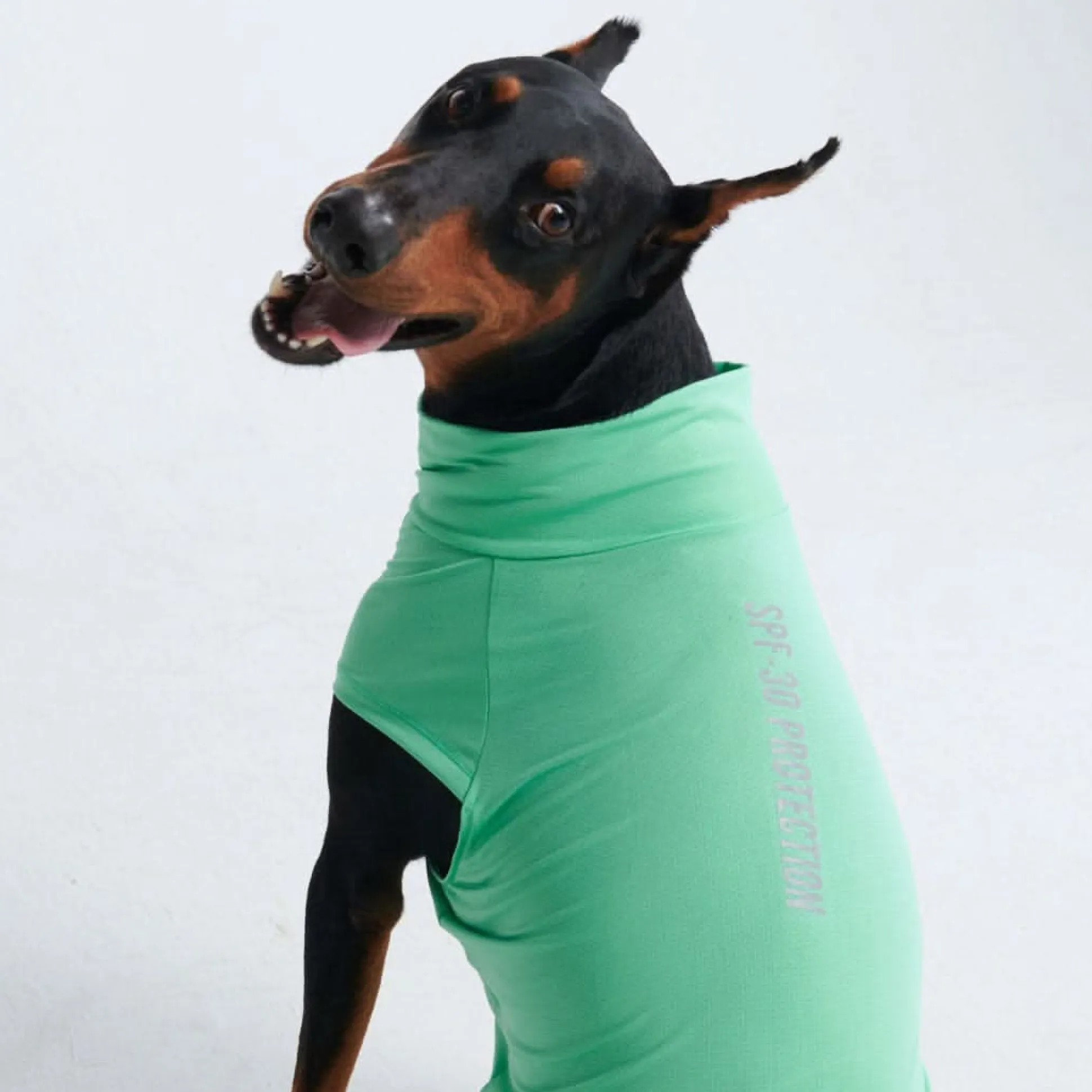 Sunblock Dog T-Shirt - Mint